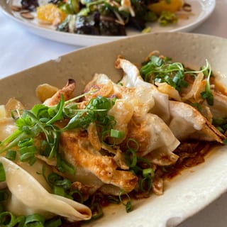 VEGETABLE DUMPLINGS